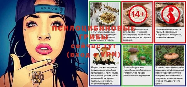 МДПВ Вязьма