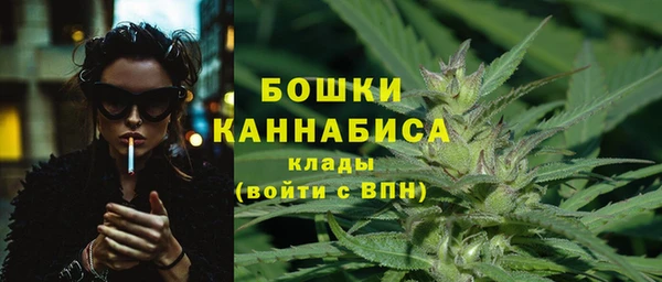 PSILOCYBIN Волоколамск