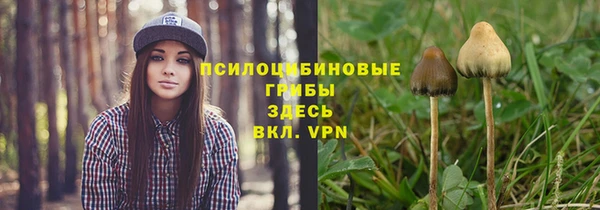 MESCALINE Горняк