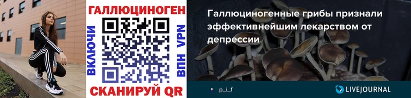 Галлюциногенные грибы мухоморы  Гудермес 
