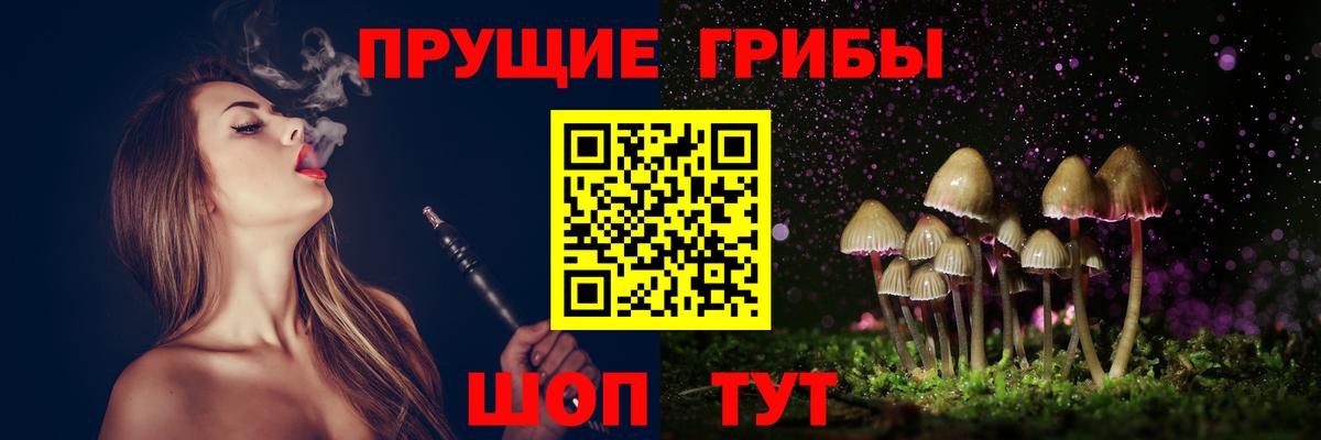 Галлюциногенные грибы Psilocybe Гудермес