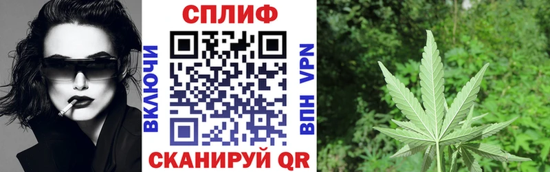 Бошки марихуана MAZAR  omg как войти  Гудермес  цена наркотик 