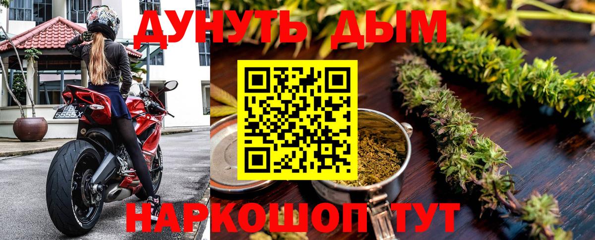 Конопля MAZAR Гудермес